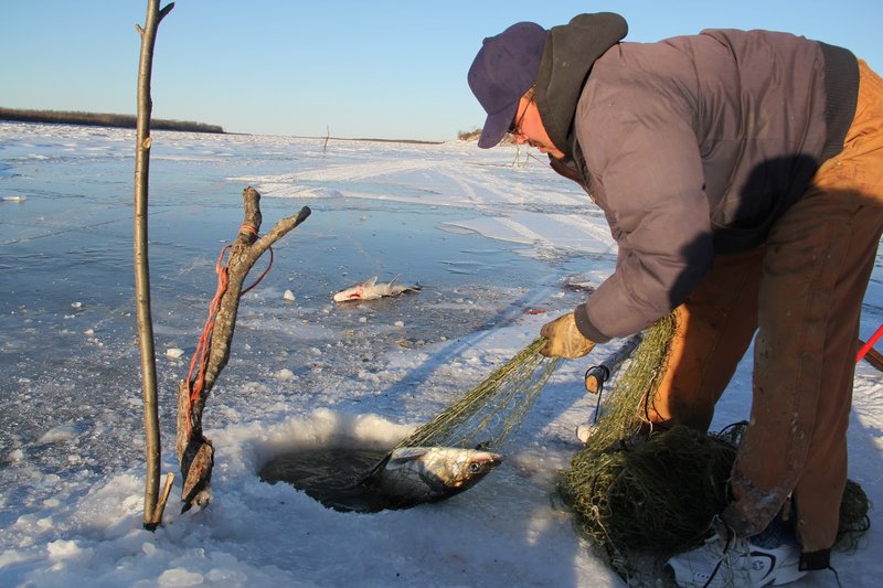 Ice fishing, ice fishing game